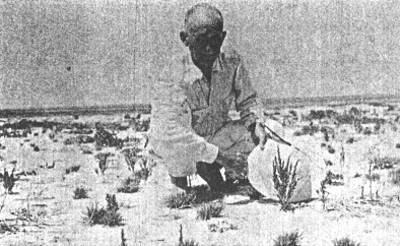 Albert Judd