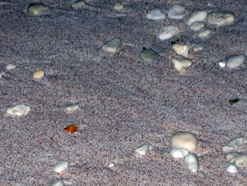 Jarvis Island beach